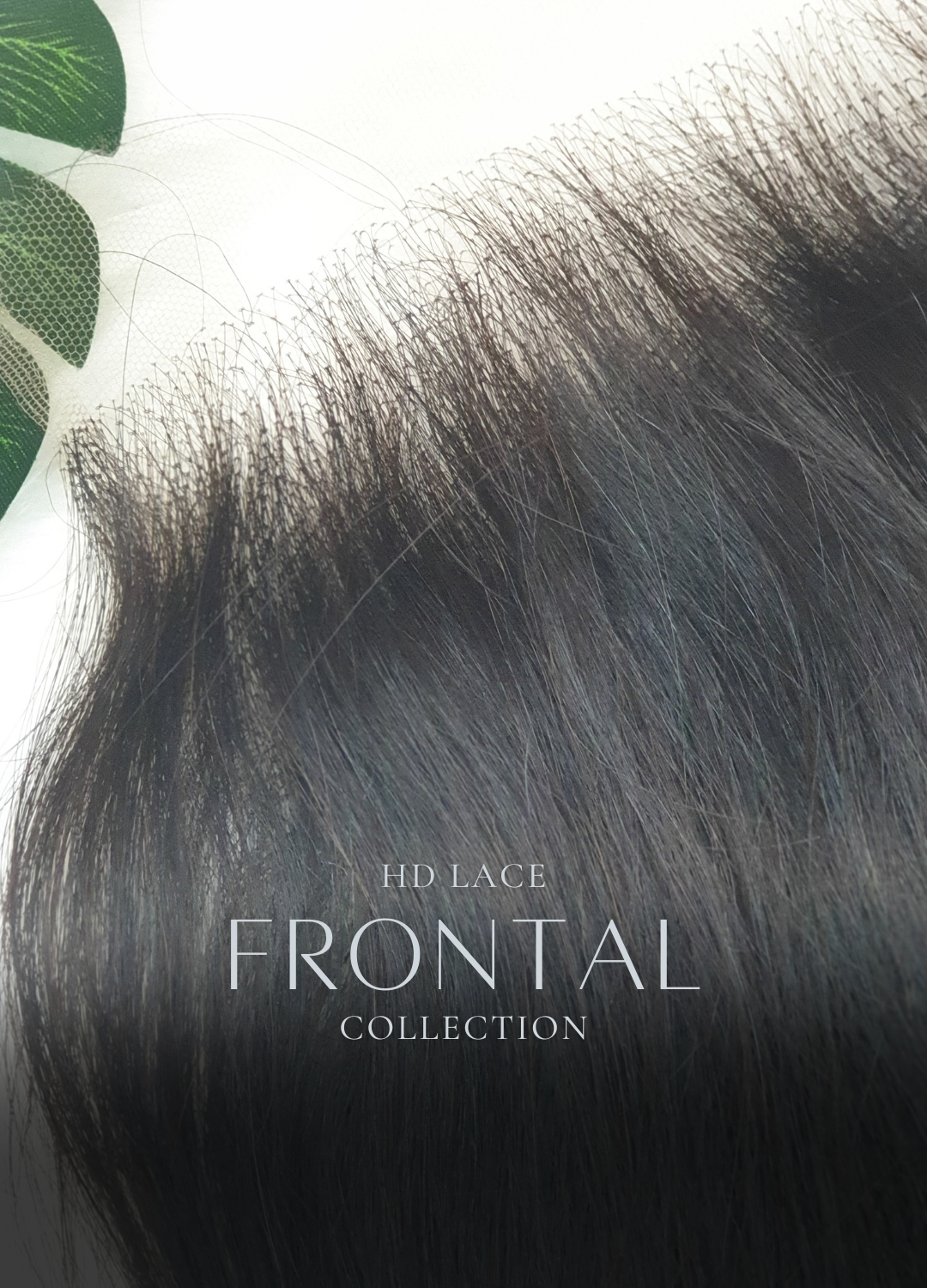 HD Lace Frontal Collection